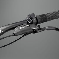 ELyte EVO RS  Trail/enduro electric mountain bike