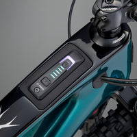 ELyte EVO RS  Trail/enduro electric mountain bike