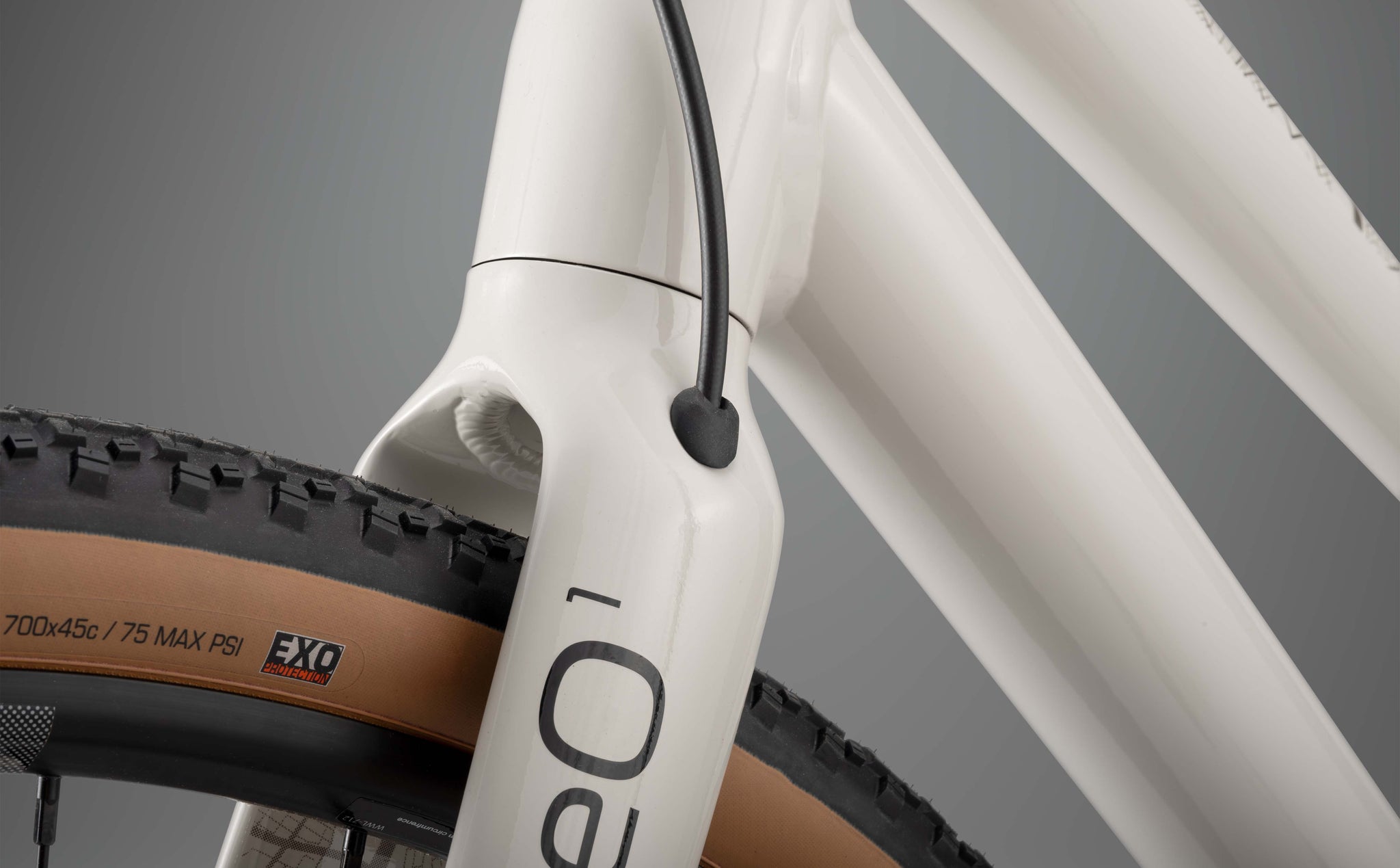 RHeO 1 ST  city and leisure bike