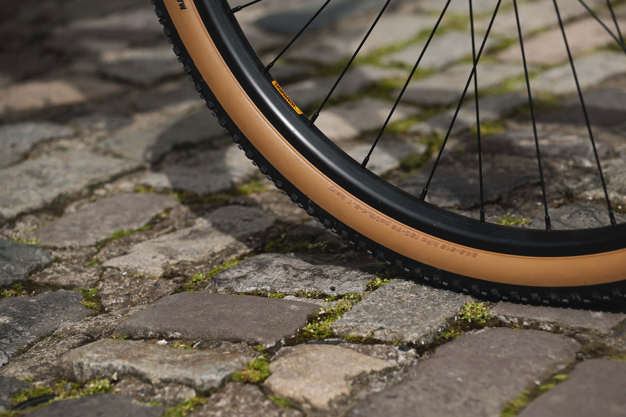 RHeO 3  eCity and leisure bike